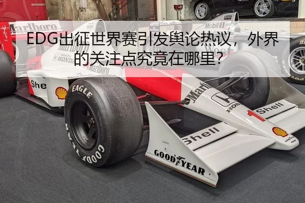 EDG出征世界赛引发舆论热议，外界的关注点究竟在哪里？