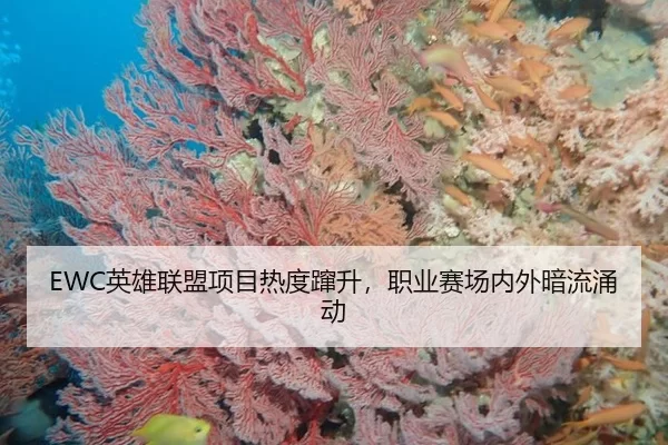 EWC英雄联盟项目热度蹿升，职业赛场内外暗流涌动